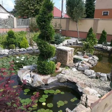 Hodosi Apartman Apartment Velky Meder